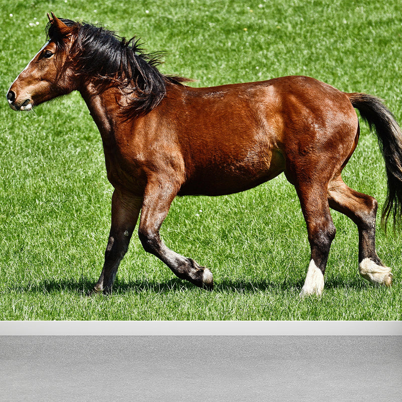 Large Horse Mural Eco-friendly Wallpaper Soft Color Wall Decor for Living Room