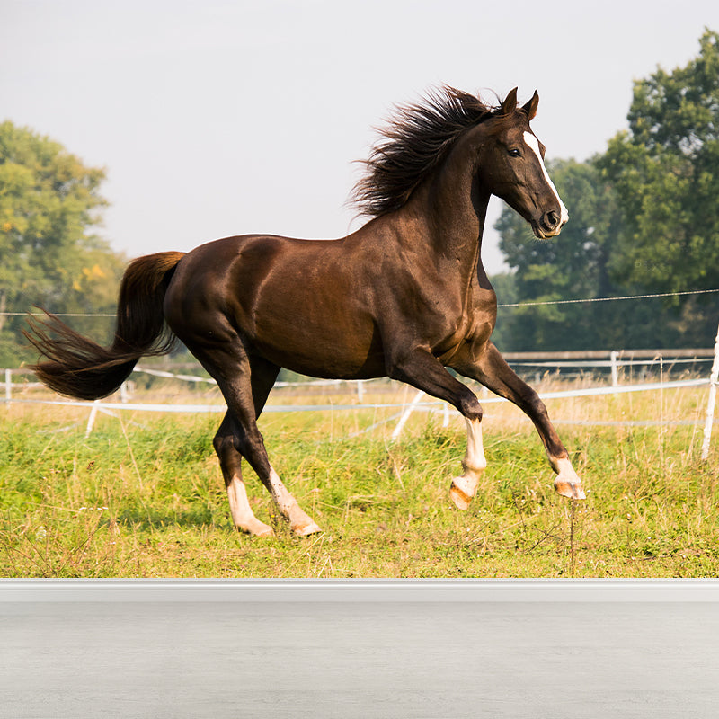 Large Horse Mural Eco-friendly Wallpaper Soft Color Wall Decor for Living Room