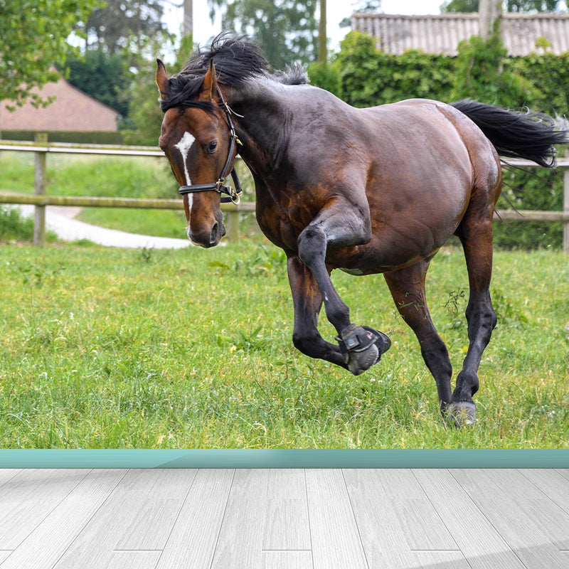 Large Horse Mural Eco-friendly Wallpaper Soft Color Wall Decor for Living Room