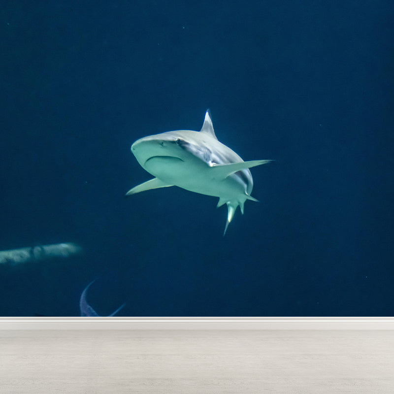 Photography Ferocious shark Mural Wallpaper Contemporary Wall Covering for Home Decoration