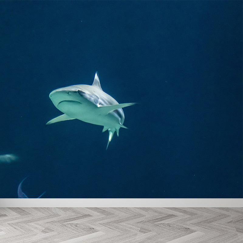 Photography Ferocious shark Mural Wallpaper Contemporary Wall Covering for Home Decoration