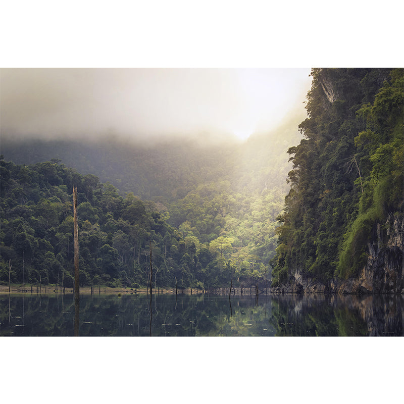 Rainforest Mural Wallpaper for Decoration Modern Living Room Wall Covering