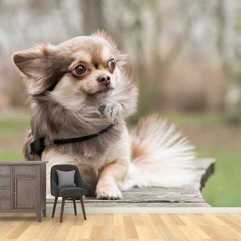 Different Kinds Dog Mural Decal Customized Modern Wall Covering for Bedroom