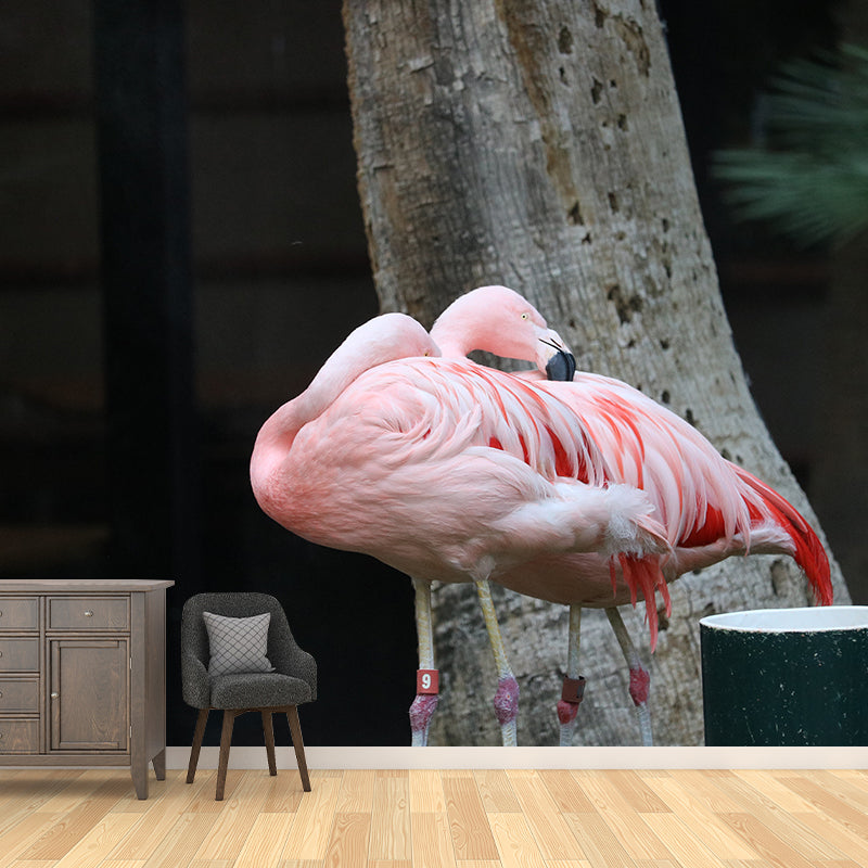 Tropical Flamingo Wall Decals for Bedroom Living Room Wall Decor, Waterproofing