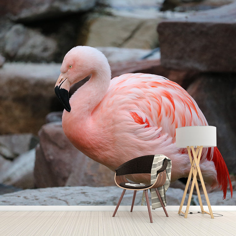 Tropical Flamingo Wall Decals for Bedroom Living Room Wall Decor, Waterproofing