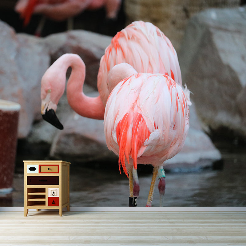 Tropical Flamingo Wall Decals for Bedroom Living Room Wall Decor, Waterproofing