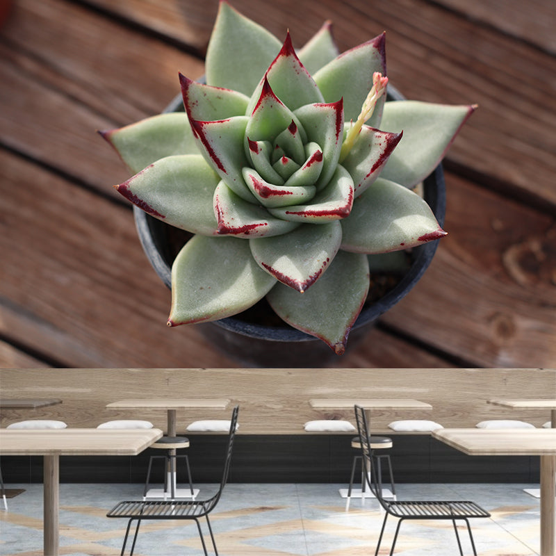 Nature Green Plants Wall Mural Personalized Size Coffee Shop Bathroom Decoration