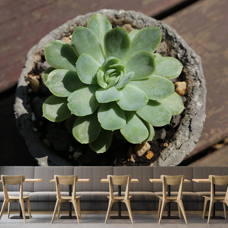 Vivid Plants Contemporary Wall Mural Moisture Resistant Decoration for Bedroom