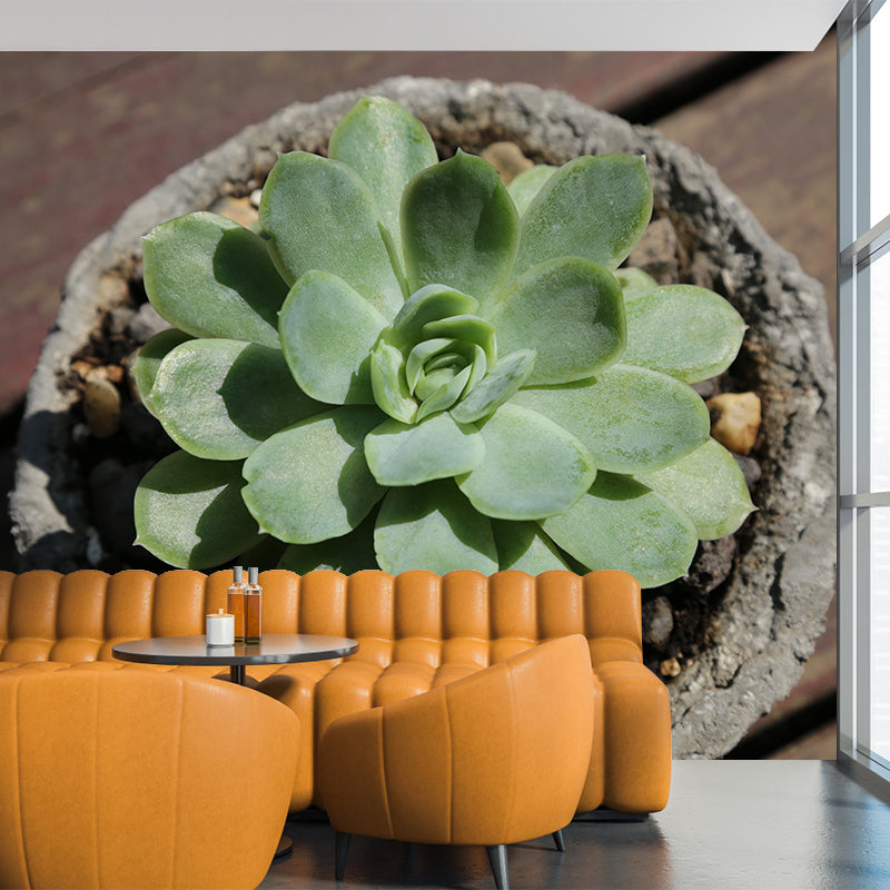 Vivid Plants Contemporary Wall Mural Moisture Resistant Decoration for Bedroom