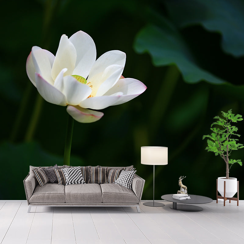 Blooming Lotus Flower Murals Wallpaper Modern Stain Resistant Wall Decor for Bedroom