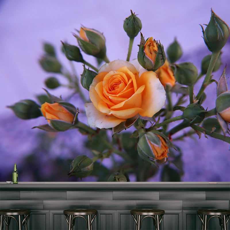 Minimalist Rose Flower Removable Mural Wallpaper Stain Resistant Decor for Bedroom