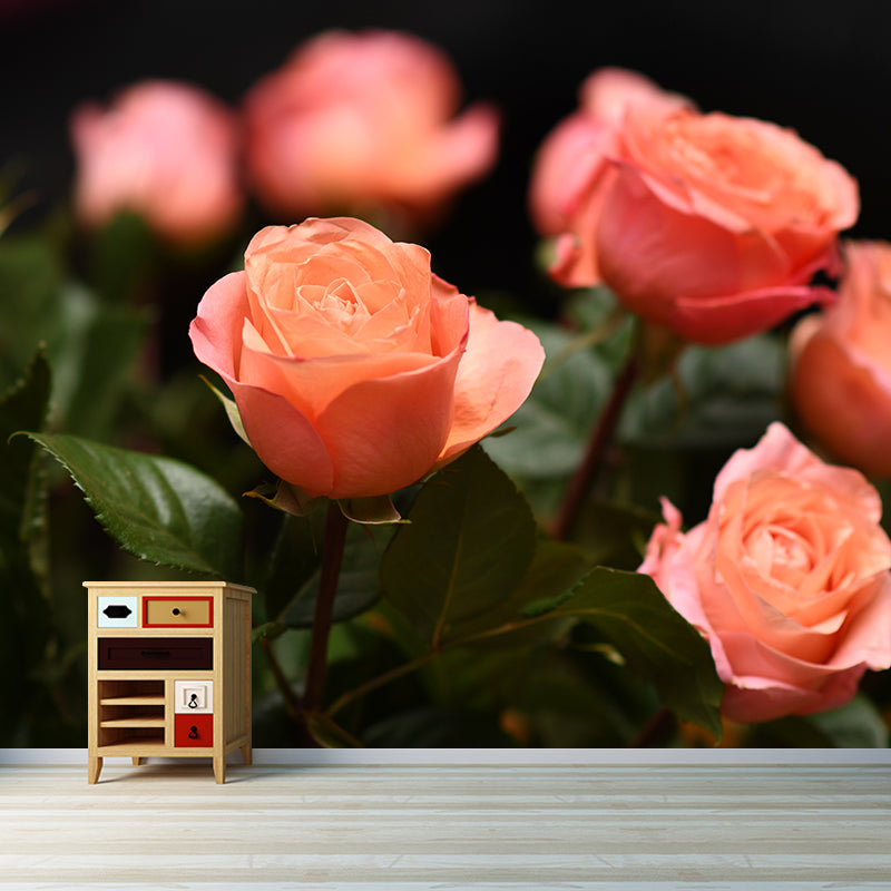 Elegant Rose Flower Photo Mural Wallpaper for Girl's Bedroom, Personalized Size