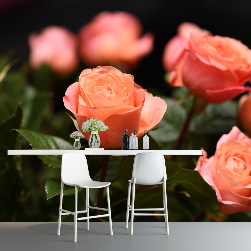 Elegant Rose Flower Photo Mural Wallpaper for Girl's Bedroom, Personalized Size