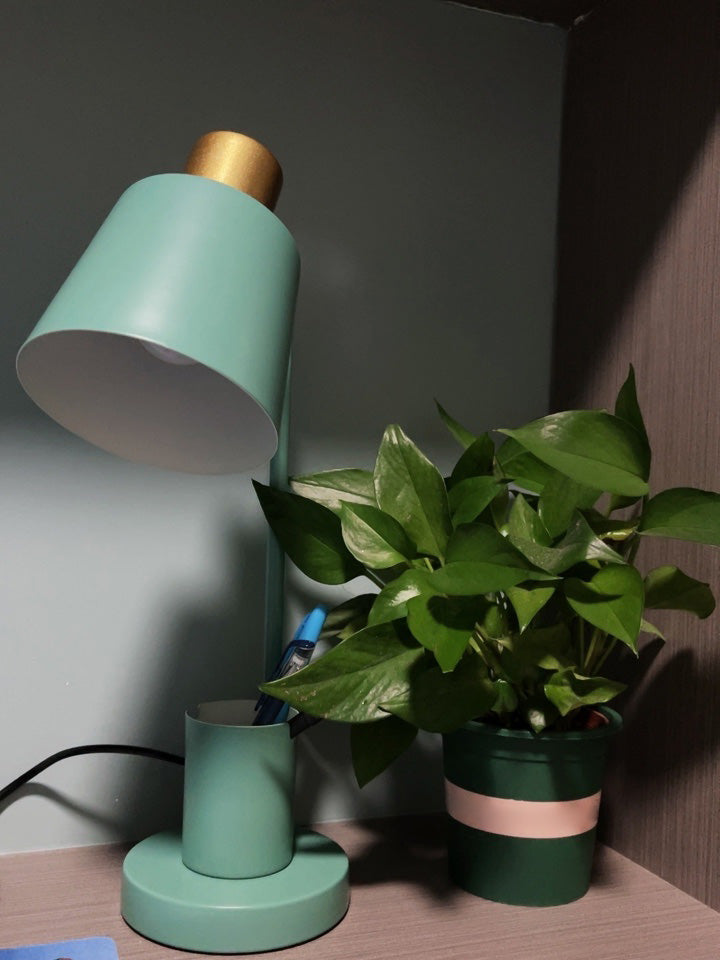 Macaron Tapered Study Lamp Metall 1-Licht
