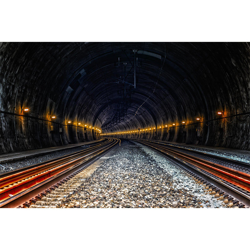 Photography Style Wall Mural 3D Illusion for Home Decor Mildew Resistant for Wall Decor