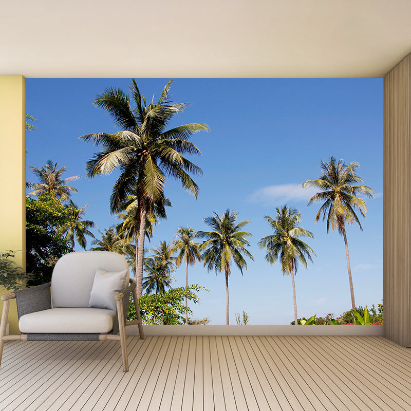 Beautiful View of Palm Tree Wall Mural for Living Room Wall Decor, Custom Made
