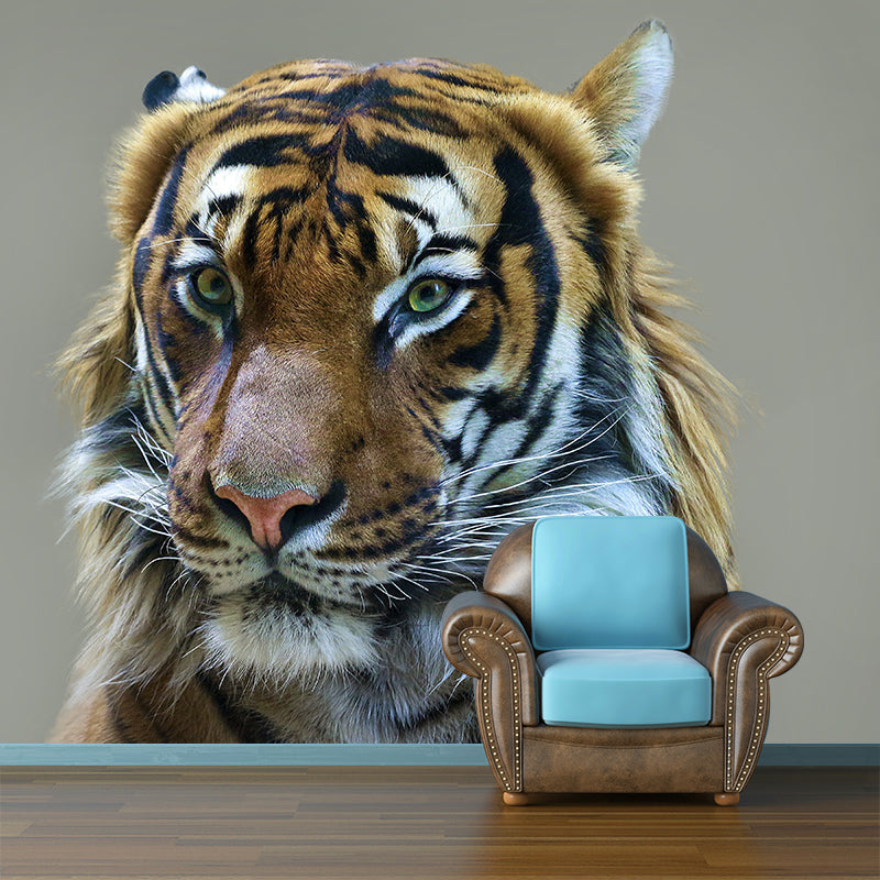 Cool Tiger Jungle Animal Mural Wallpaper Contemporary Wall Covering for Sitting Room