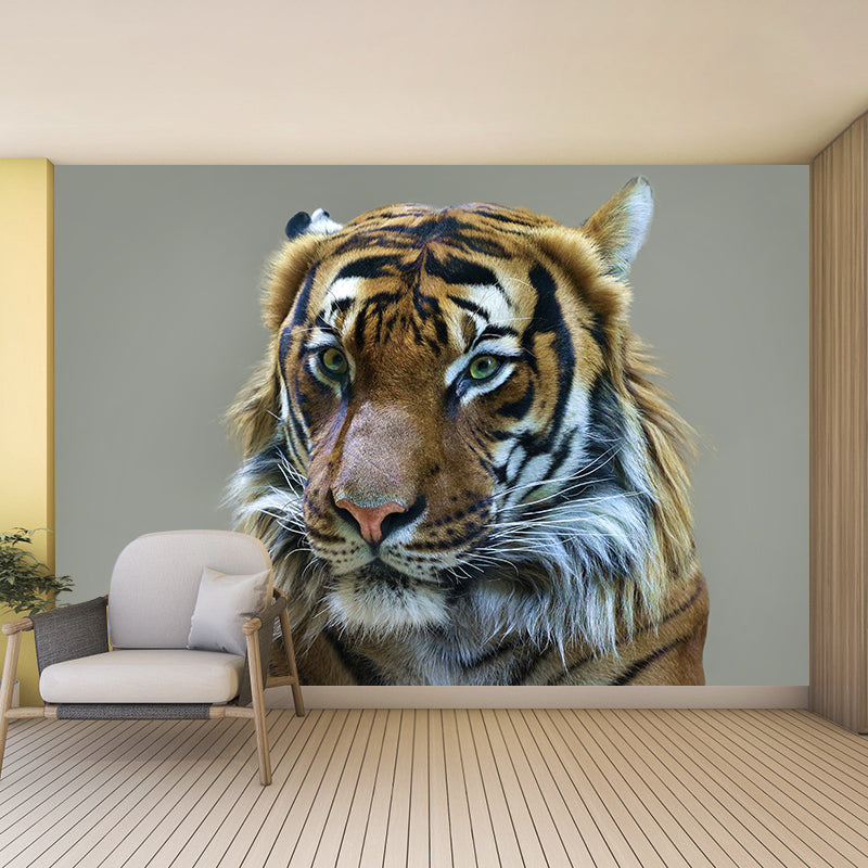 Cool Tiger Jungle Animal Mural Wallpaper Contemporary Wall Covering for Sitting Room