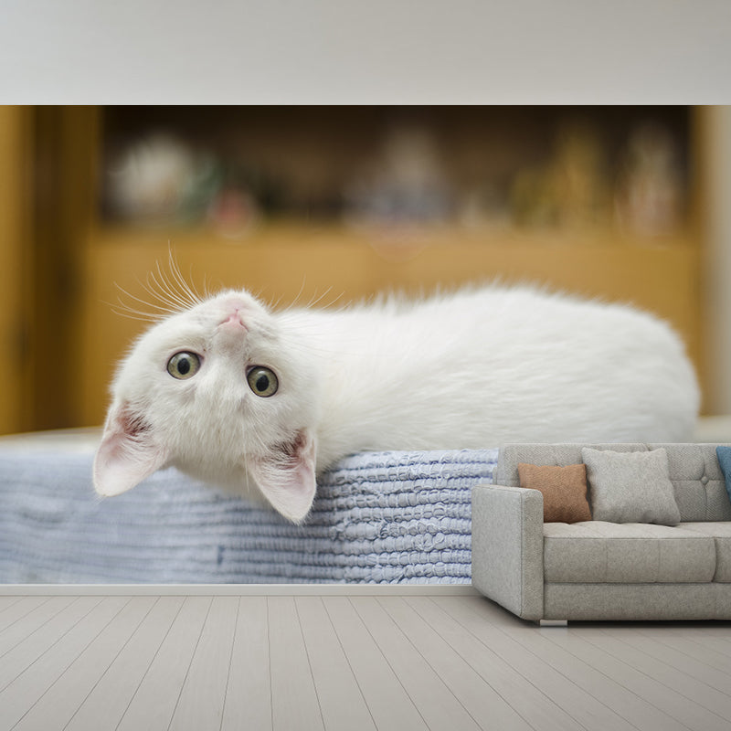 Animal Cat Mural Wallpaper Contemporary Moisture Resistant Wall Covering