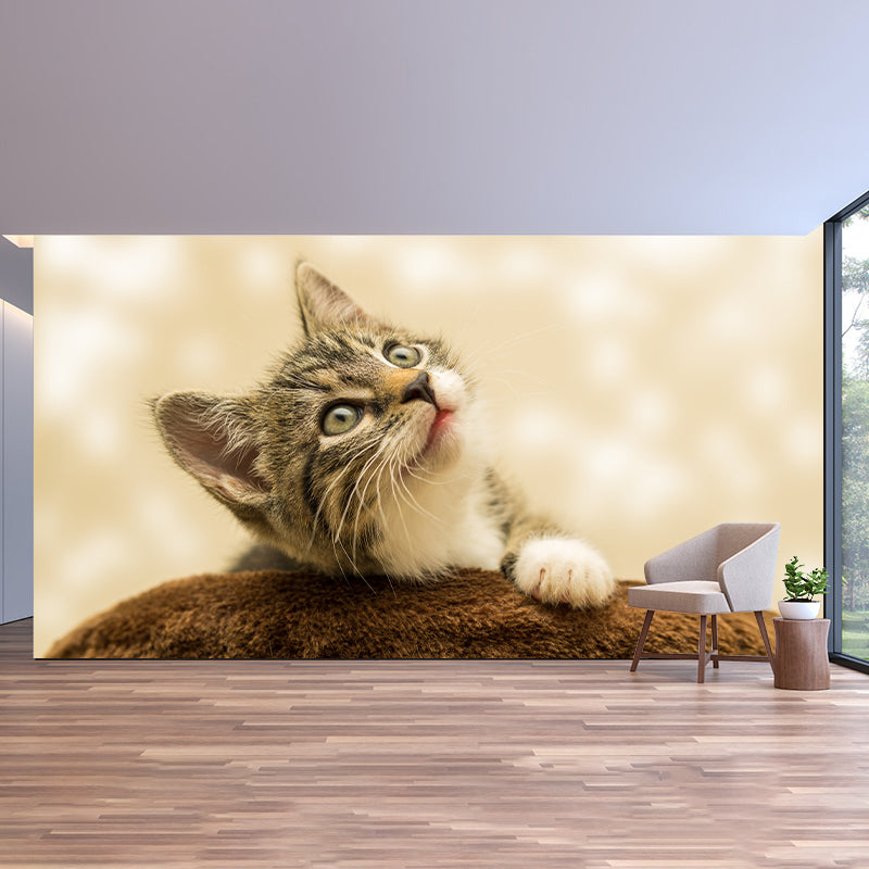 Animal Cat Mural Wallpaper Contemporary Moisture Resistant Wall Covering