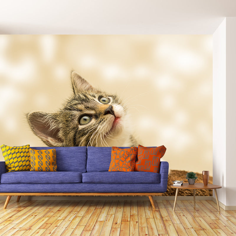 Animal Cat Mural Wallpaper Contemporary Moisture Resistant Wall Covering