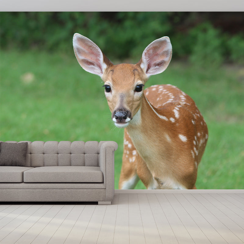 Deer Wall Decal Stain Resistant Mural Wallpaper Contemporary Bedroom Wall Covering