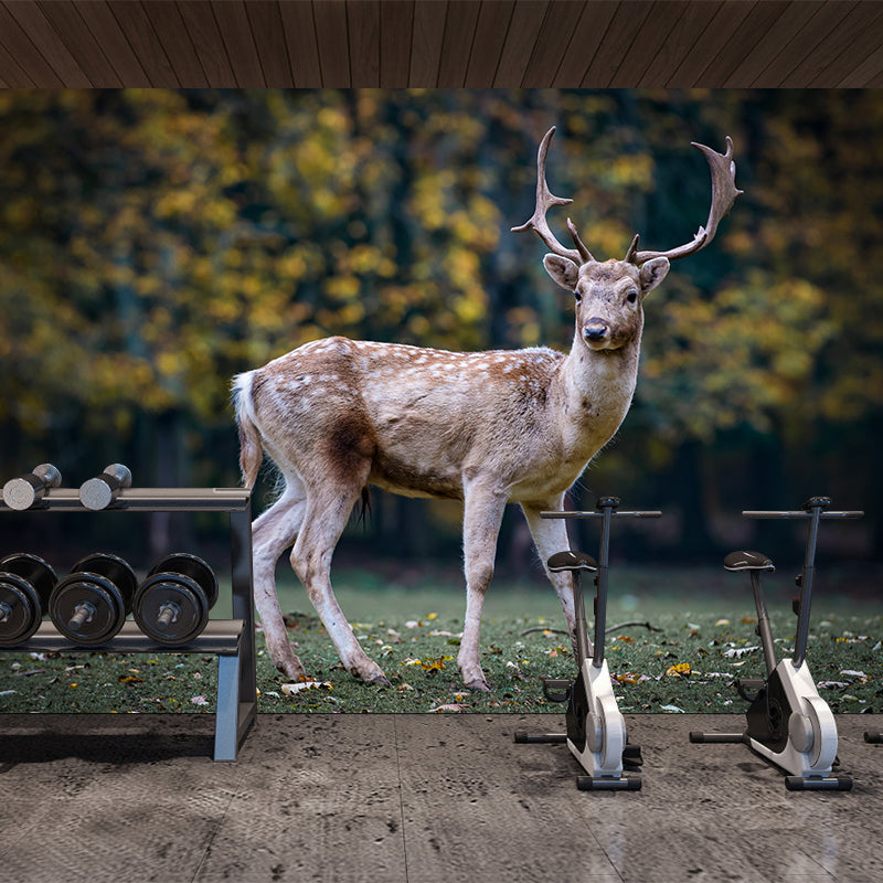 Deer Wall Decal Stain Resistant Mural Wallpaper Contemporary Bedroom Wall Covering