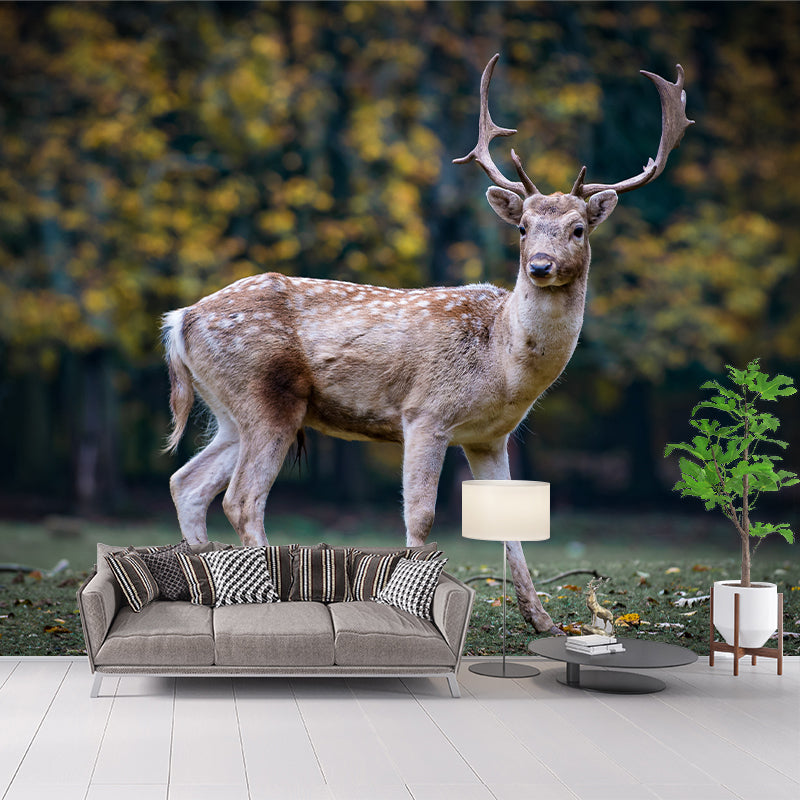 Deer Wall Decal Stain Resistant Mural Wallpaper Contemporary Bedroom Wall Covering