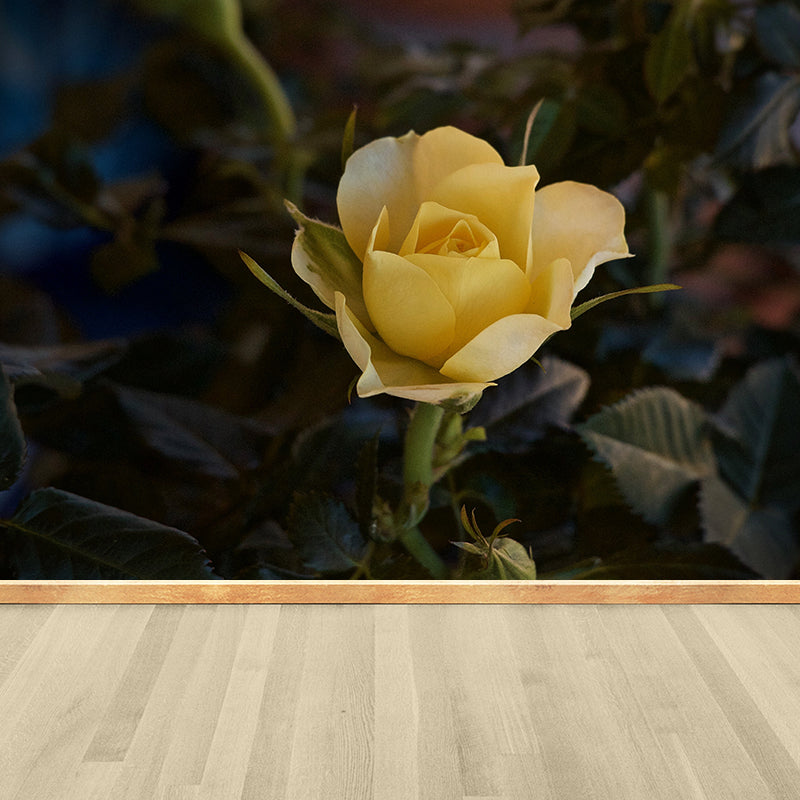 Modern Blossoming Rose Wall Mural Waterproofing Wall Art for Bedroom Decor