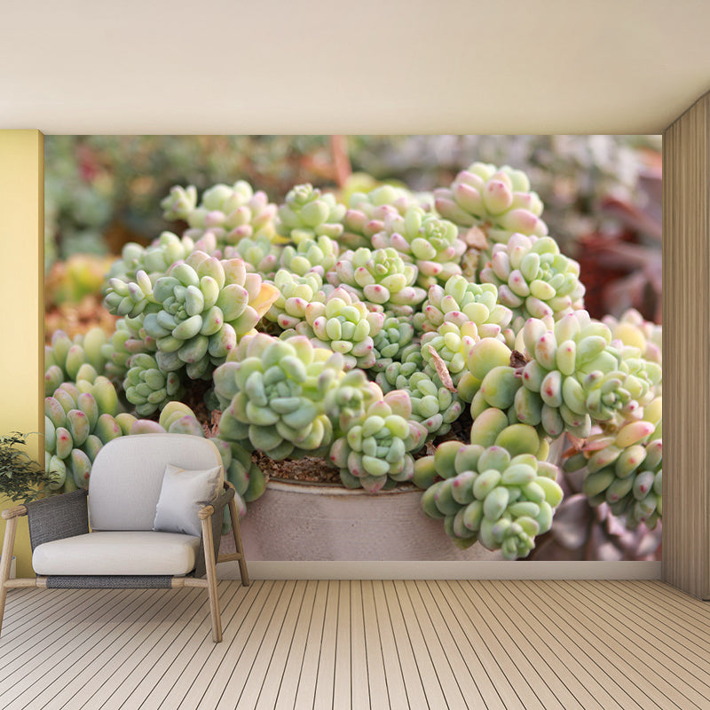 Vivid Green Plants Wall Decal Removable Wall Paper Murals Decoration for Bedroom