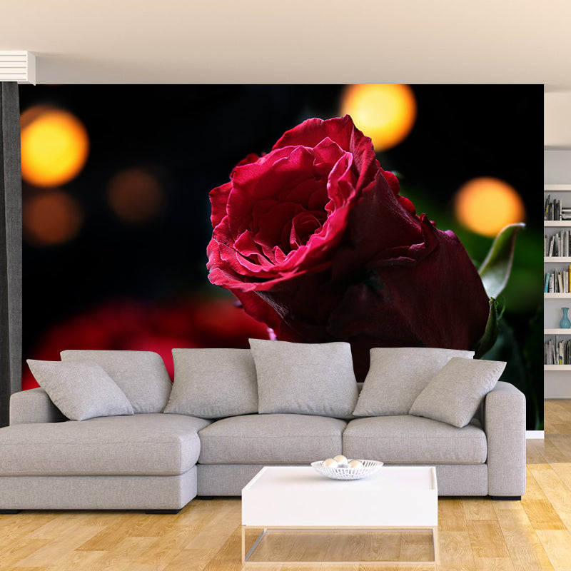 Elegant Rose Flower Photo Mural Modern Smooth Wall Covering in Red, Water Resistant