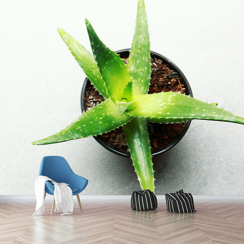 Green Plants Wall Mural Vinyl Wall Art Decor for Office Home Apartment