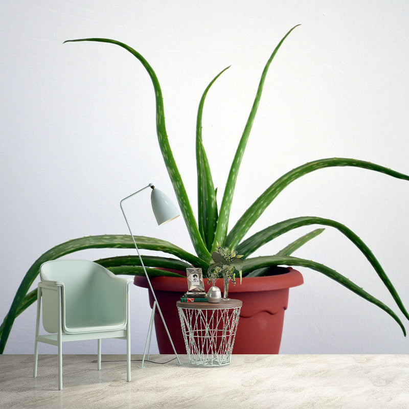 Green Plants Wall Mural Vinyl Wall Art Decor for Office Home Apartment