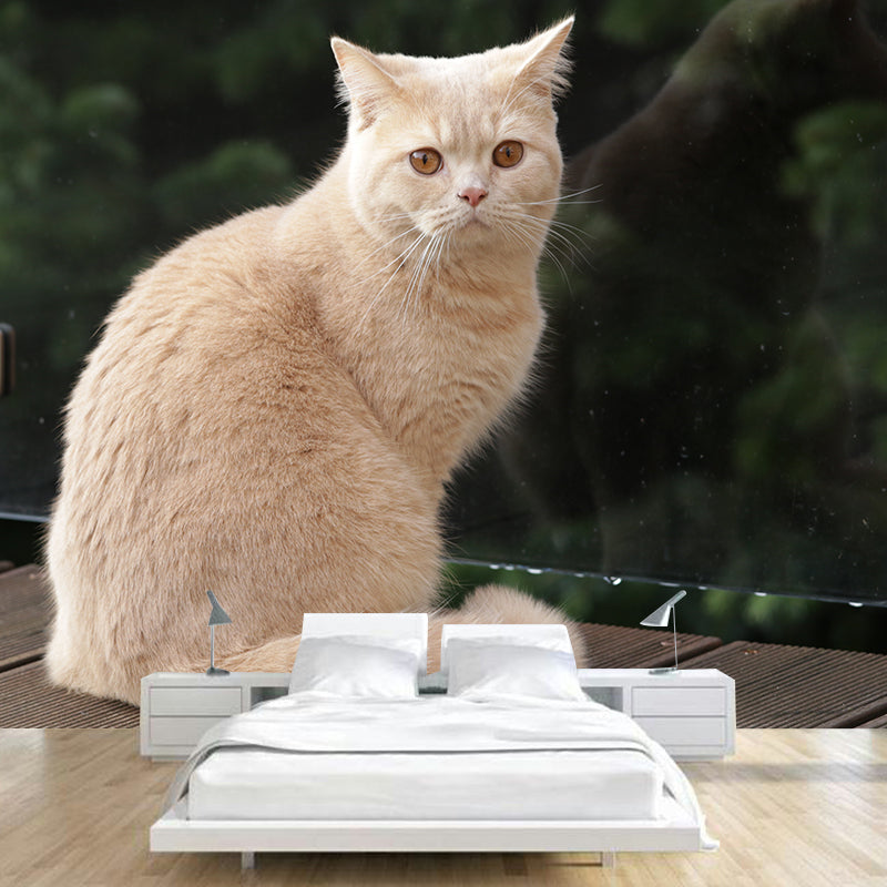 Super Cute Cat Wall Decals Water Resistant Bedroom Living Room Wall Decor Murals