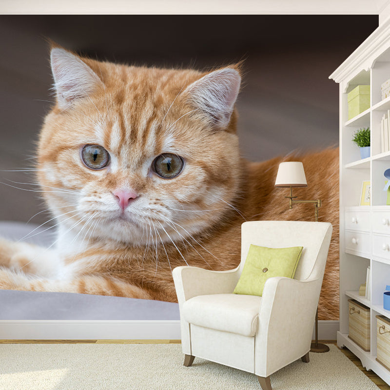 Super Cute Cat Wall Decals Water Resistant Bedroom Living Room Wall Decor Murals