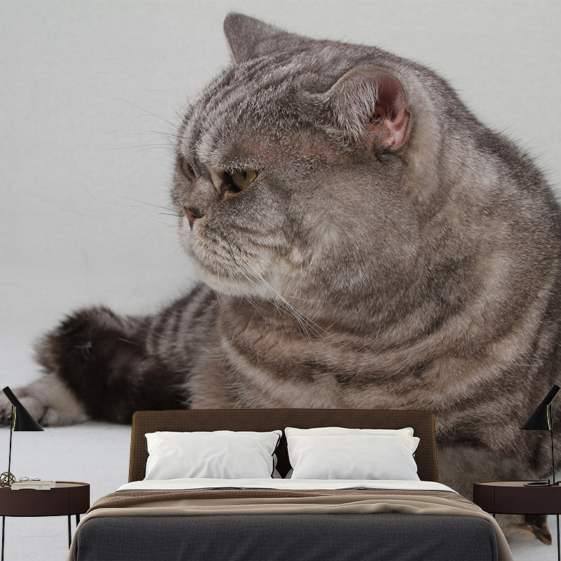 Super Cute Cat Wall Decals Water Resistant Bedroom Living Room Wall Decor Murals