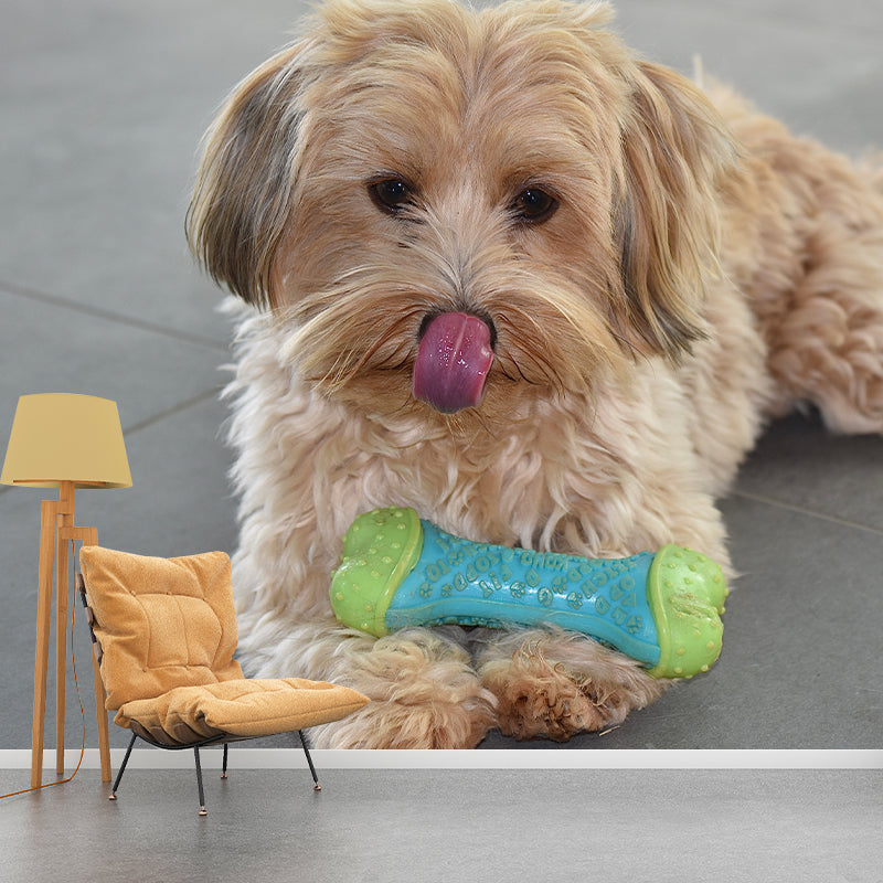 Lovely Dog Wall Mural Removable Wall Covering for Sleeping Room,Water Resistant