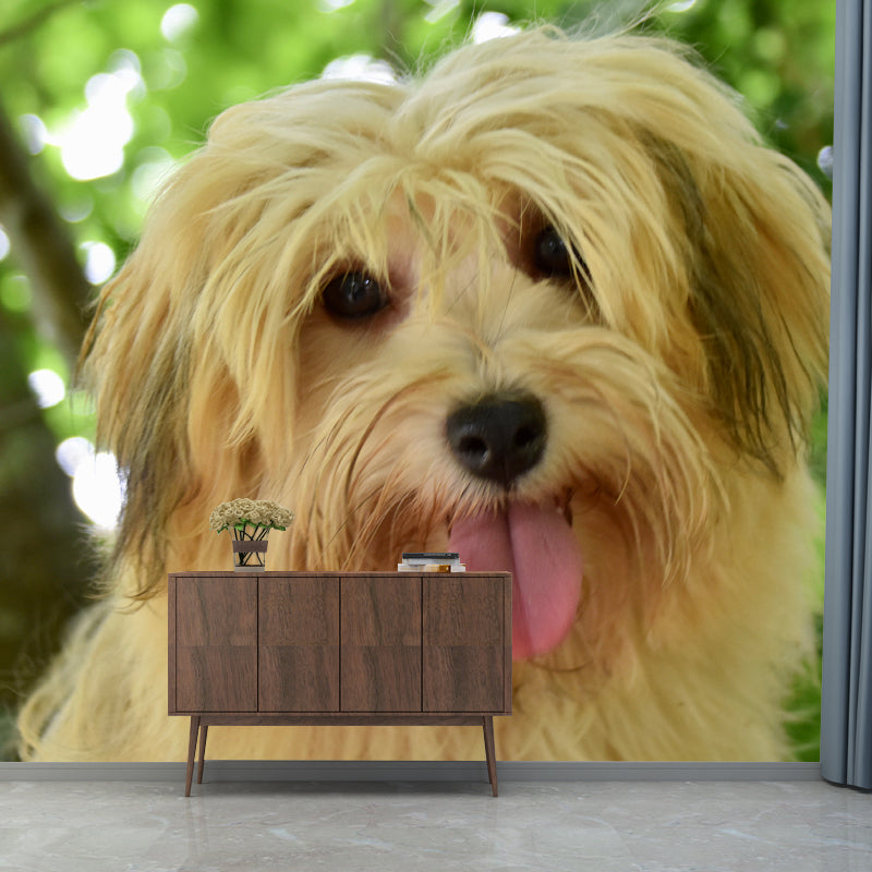 Lovely Dog Wall Mural Removable Wall Covering for Sleeping Room,Water Resistant