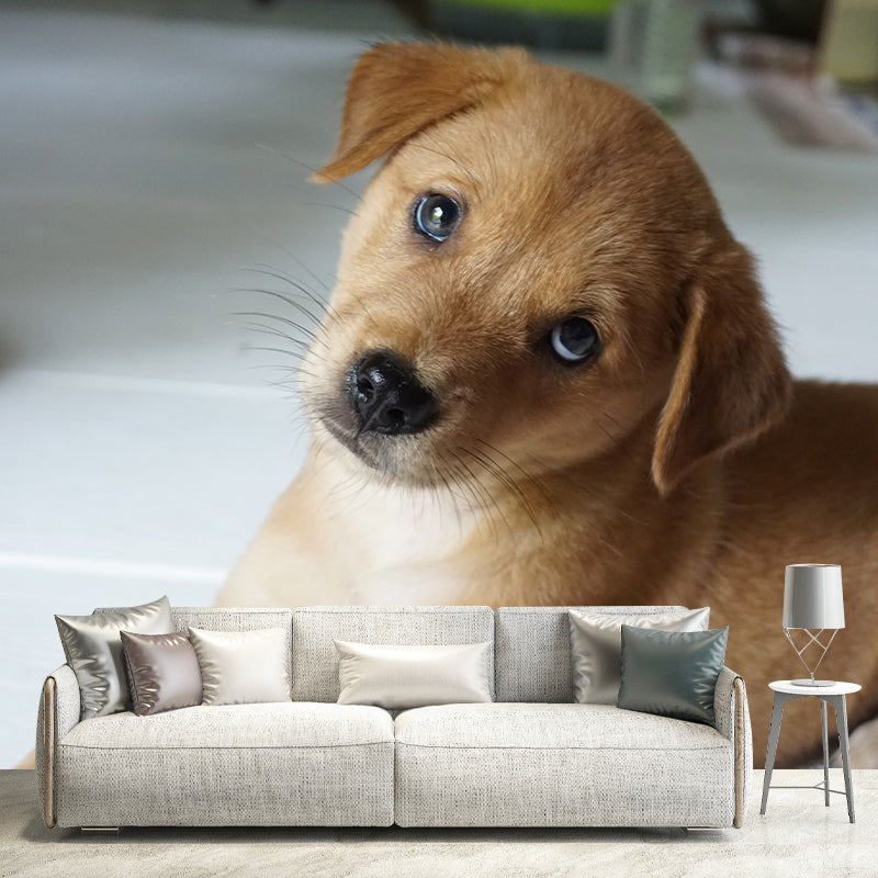 Lovely Dog Wall Mural Removable Wall Covering for Sleeping Room,Water Resistant