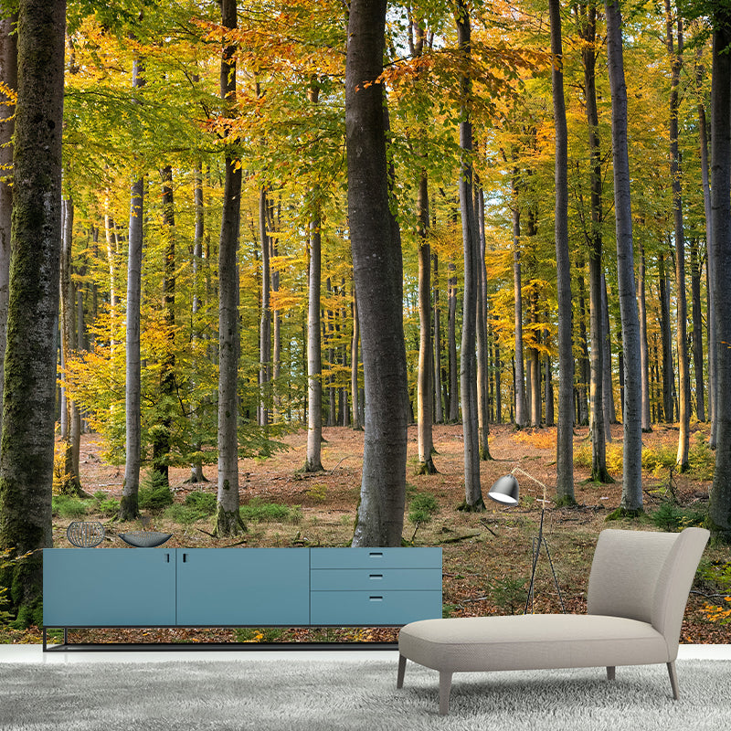 Photographic Forest Mural for Living Room Bedroom, Removable, Customized Size