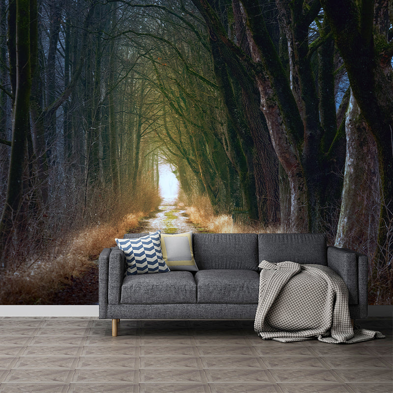 Photographic Forest Mural for Living Room Bedroom, Removable, Customized Size