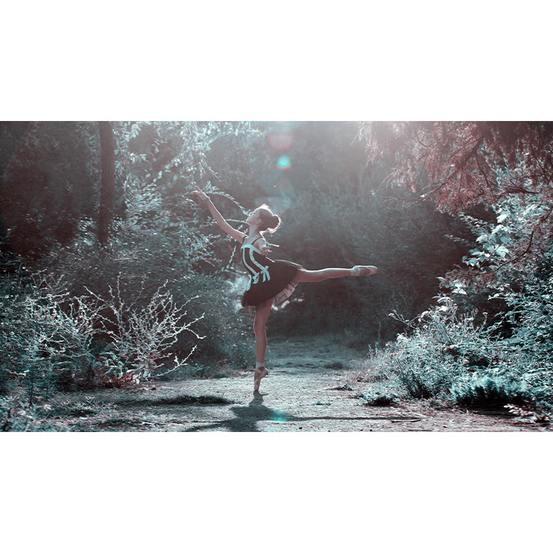 Artistry Wall Covering Mural Large Ballet Girls Pattern Wall Art for Bedroom