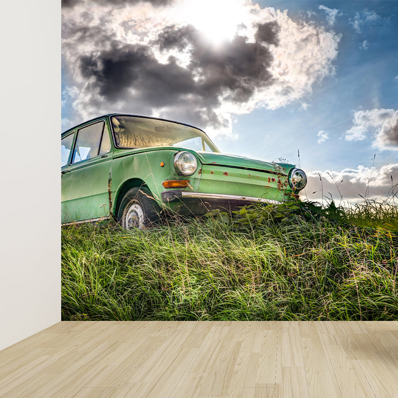Photography Vintage Beetle Mural Mildew Resistant Wall Covering for Home Decoration