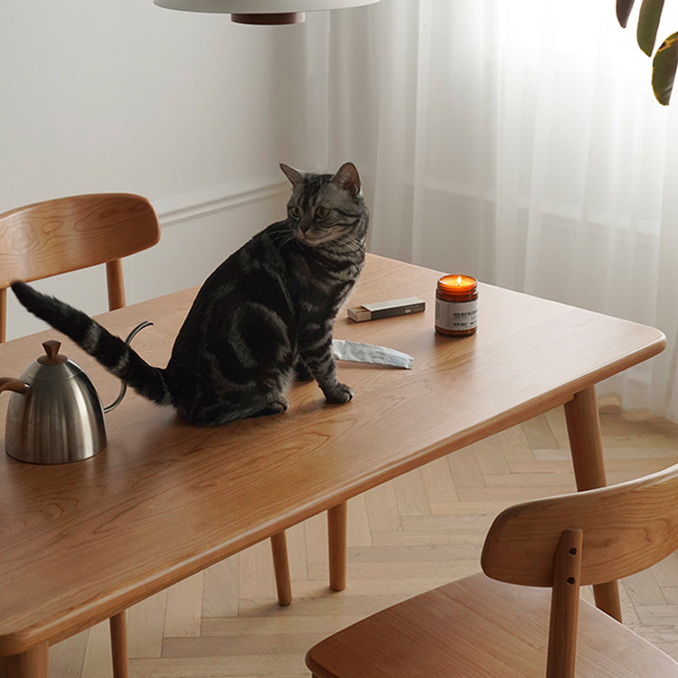 Rechteck zeitgenössische Massivholz Esszimmer Set mit 4 Beintisch Esstisch Sets