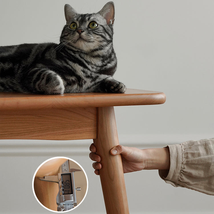 Rechteck zeitgenössische Massivholz Esszimmer Set mit 4 Beintisch Esstisch Sets