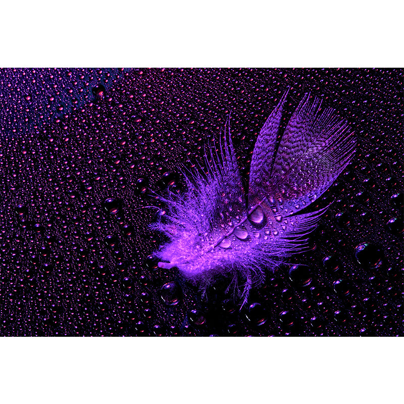 Photography Modern Pastel Color Mural Wallpaper with Beautiful Feathers for Girls' Bedroom