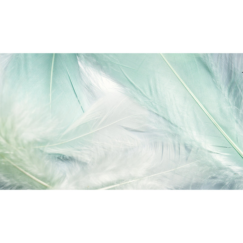 Light Color Feather Wall Mural Decal Moisture Resistant Modern Wall Covering