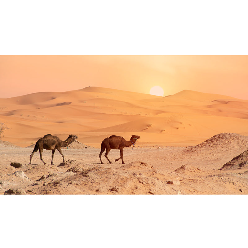 Desert Mound Wallpaper Mural Natural Landscape Wall Covering, Custom Print
