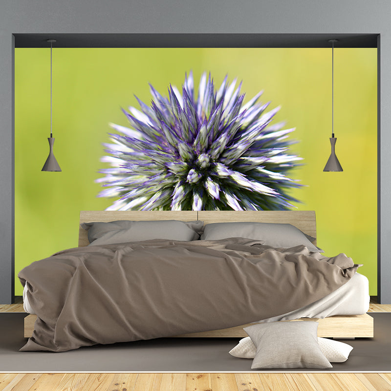 Globe Thistle Full Size Wall Covering for Living Room Plant Mural, Moisture-Resistant