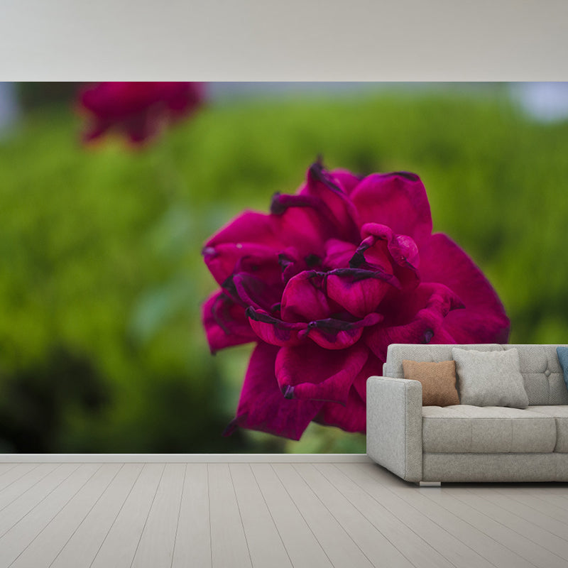 Beautiful Rose Flower Wall Decals Removable Mural Wallpaper, Waterproofing